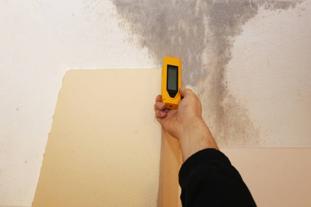 Mold Remediation for Rental Properties in Dellwood, MN