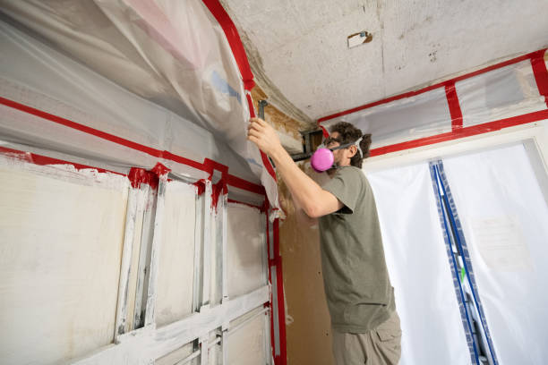 Best Mold Prevention Services  in Dellwood, MN