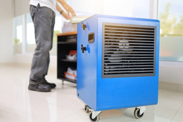 Best Residential Mold Inspection & Testing  in Dellwood, MN