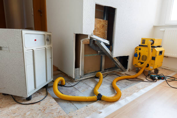 Reliable Dellwood, MN Mold Removal Solutions