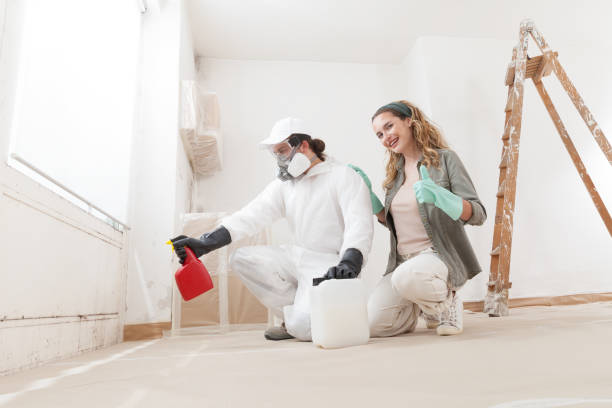 Dellwood, MN Mold Removal Company