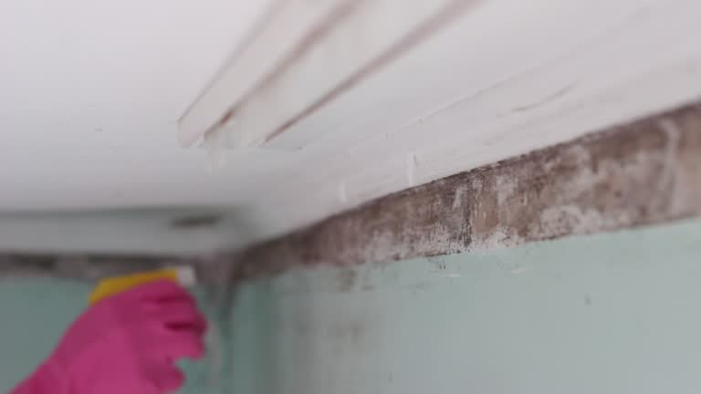Best Post-Remediation Verification Testing  in Dellwood, MN